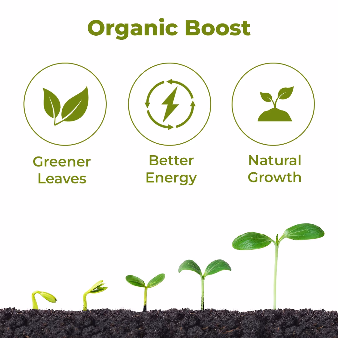 Plant Energy Boosters